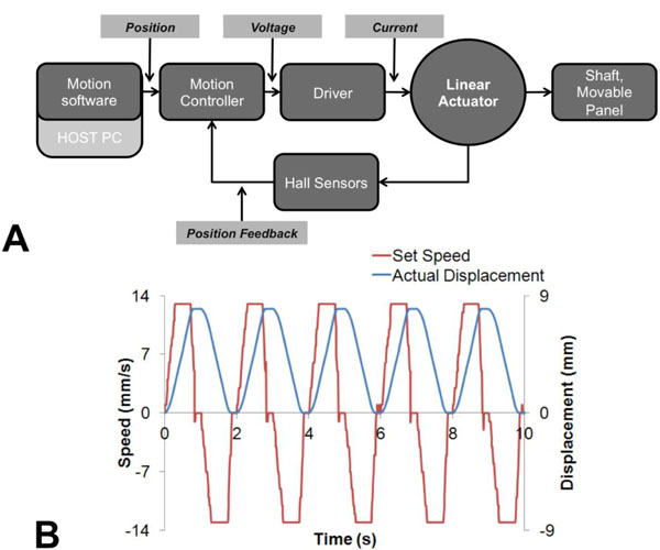 development of a bio-inspired mechatronic chest wall simulator