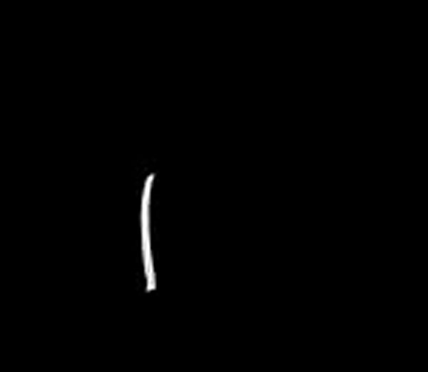 5 Example Of General Statement
