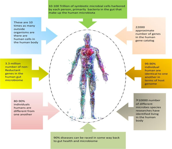Integrating Microbiome Network Establishing Linkages Between Plants, Microbes and Human Health